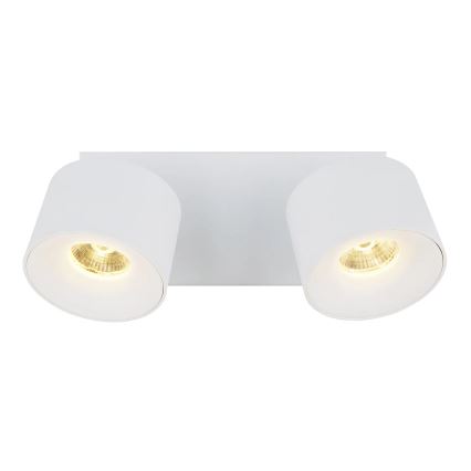 Globo - LED Spotlight 2xLED/6W/230V white