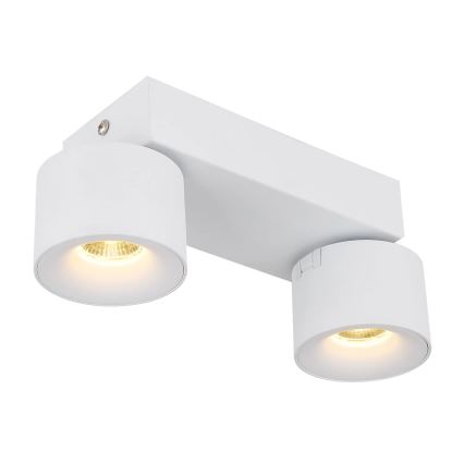 Globo - LED Spotlight 2xLED/6W/230V white
