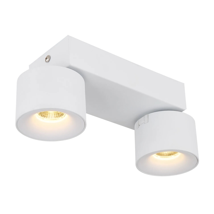 Globo - LED Spotlight 2xLED/6W/230V white