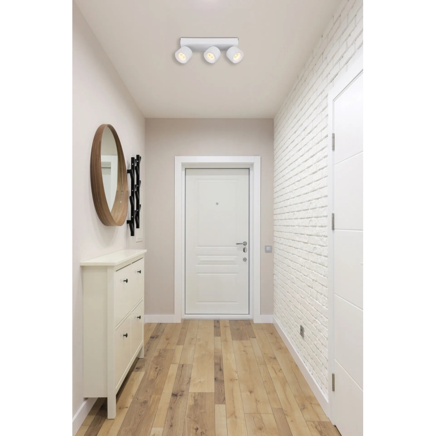 Globo - LED Spotlight 3xLED/6W/230V white