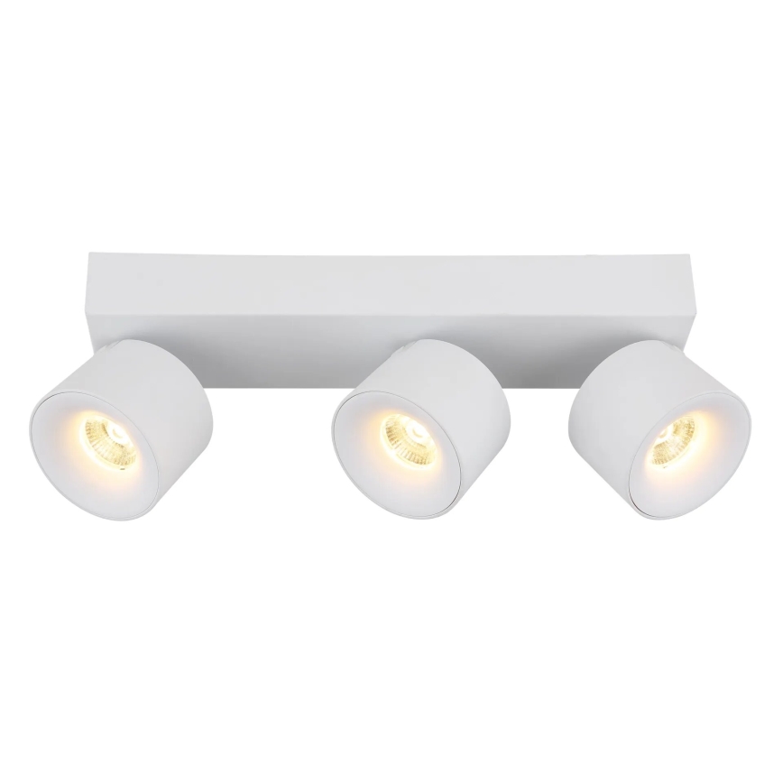 Globo - LED Spotlight 3xLED/6W/230V white