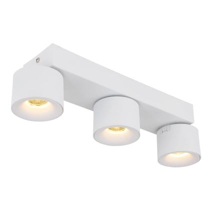 Globo - LED Spotlight 3xLED/6W/230V white
