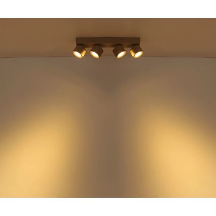 Globo - LED Spotlight 4xLED/6W/230V