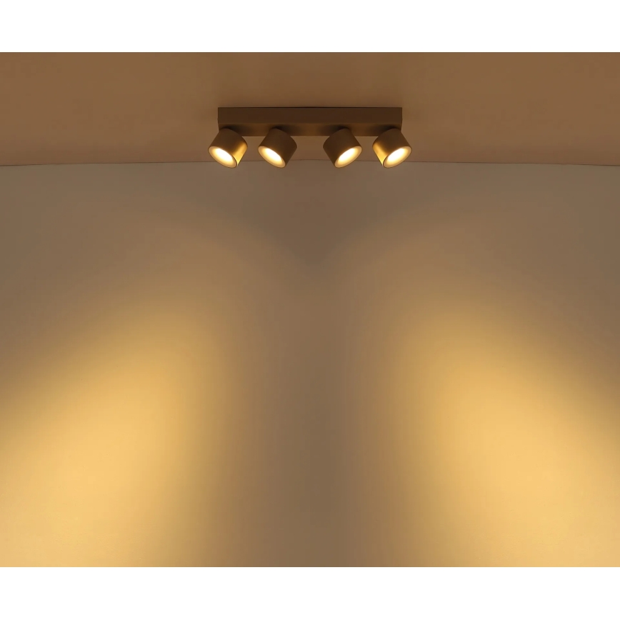 Globo - LED Spotlight 4xLED/6W/230V