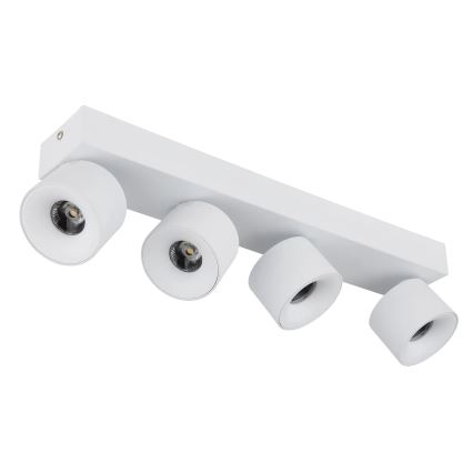 Globo - LED Spotlight 4xLED/6W/230V white