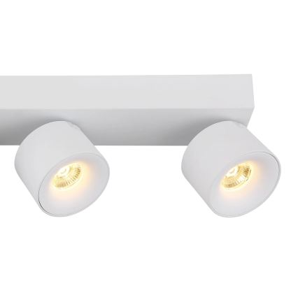 Globo - LED Spotlight 4xLED/6W/230V white