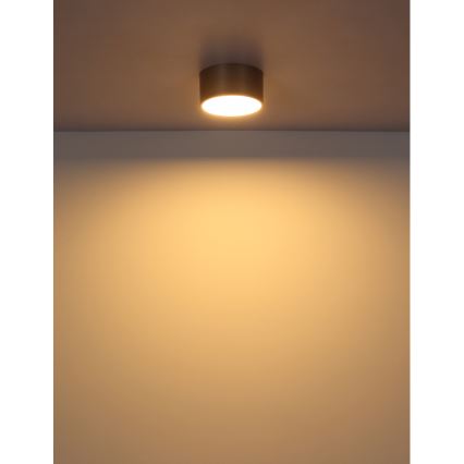 Globo - LED Ceiling Light, 12W, 230V, Ø 15 cm, 3000K, Brass