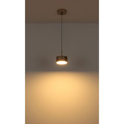 Globo - LED Cable Pendant Light, 12W/230V, 3000K, Ø 15 cm, Brass
