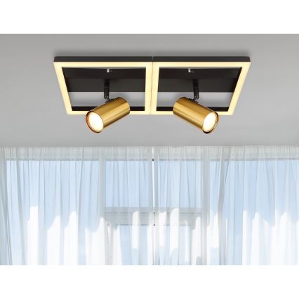 Globo - LED Ceiling light 2xGU10/5W/230V + LED/22W/230V