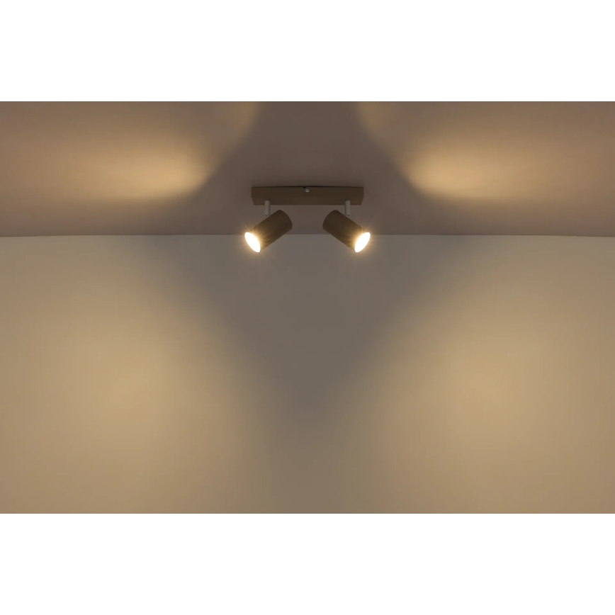 Globo - Spotlight 2x GU10/35W/230V