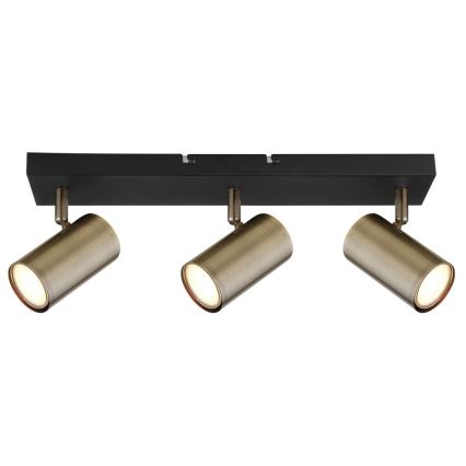 Globo - Spotlight 3xGU10/35W/230V black/brass