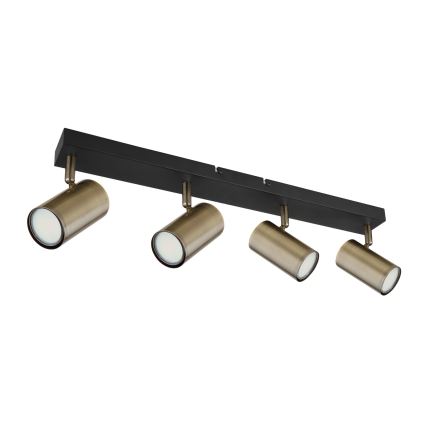 Globo - Spotlight 4xGU10/35W/230V black/brass