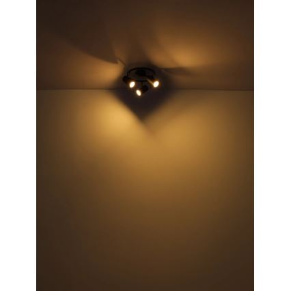 Globo - Spotlight 3xGU10/25W/230V black