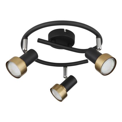 Globo - Spotlight  3xGU10/25W/230V black/gold