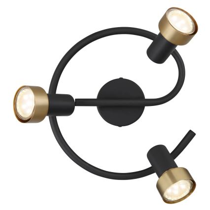 Globo - Spotlight  3xGU10/25W/230V black/gold