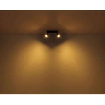 Globo - Spotlight 2xGU10/35W/230V black