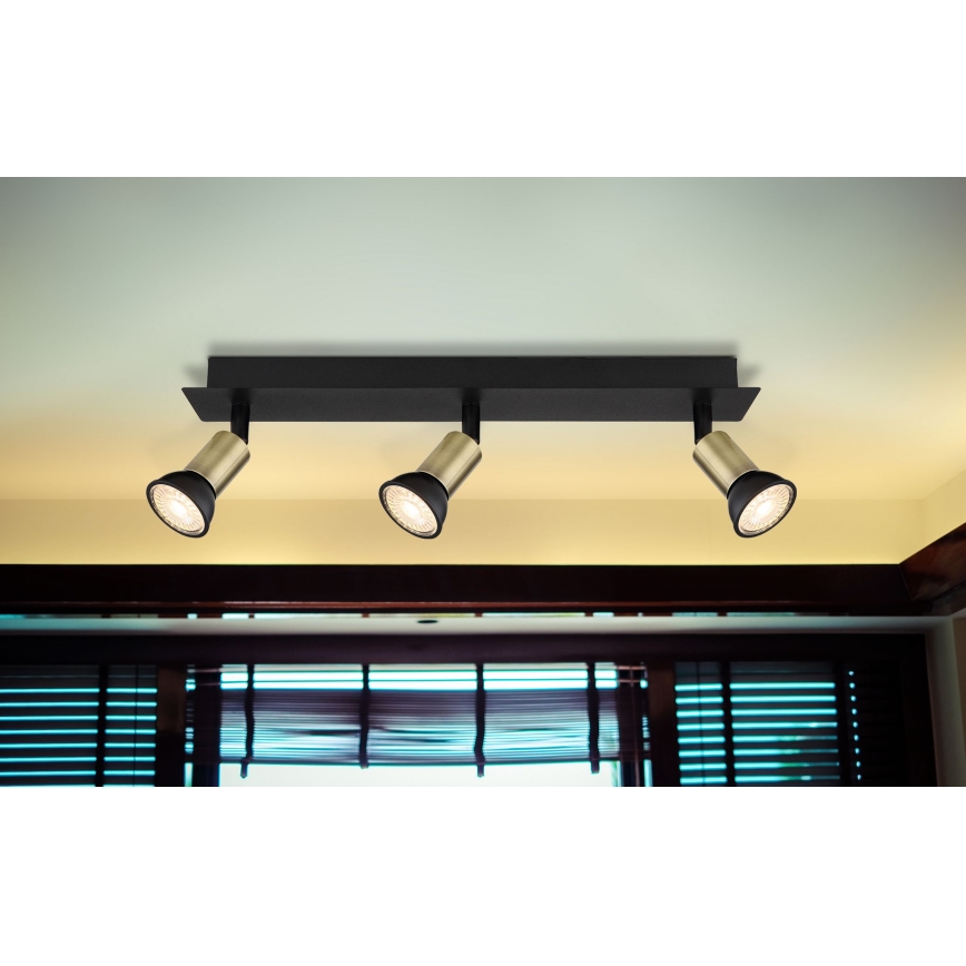 Globo - Spotlight 3xGU10/35W/230V black/brass