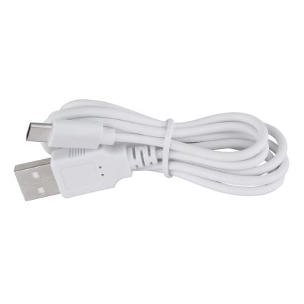 Globo - LED Dimmable touch table lamp LED/1W/3,7V 3000K 1800 mAh USB white