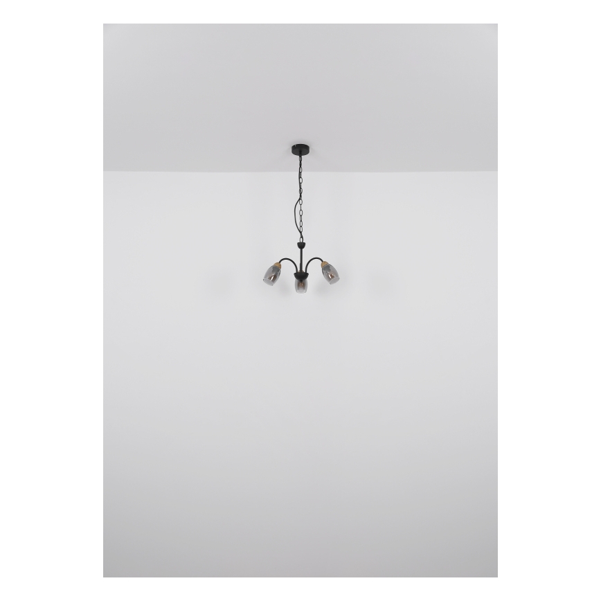 Globo - Chandelier on a chain 3xE14/25W/230V