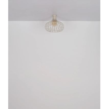 Globo - Ceiling light 1xE27/40W/230V