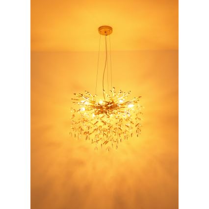 Globo - 8xE14/40W/230V Cable Pendant Chandelier, Gold