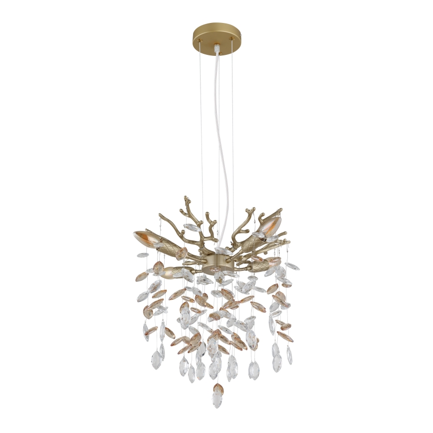 Globo - Cable-suspended chandelier 4xE14/40W/230V gold