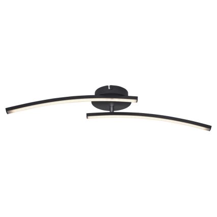 Globo - LED Surface-mounted chandelier 2xLED/6W/230V 3000/4000/6000K