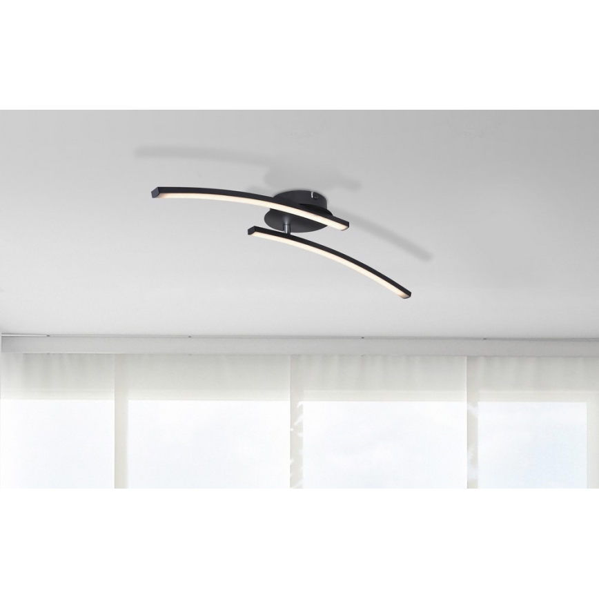 Globo - LED Surface-mounted chandelier 2xLED/6W/230V 3000/4000/6000K