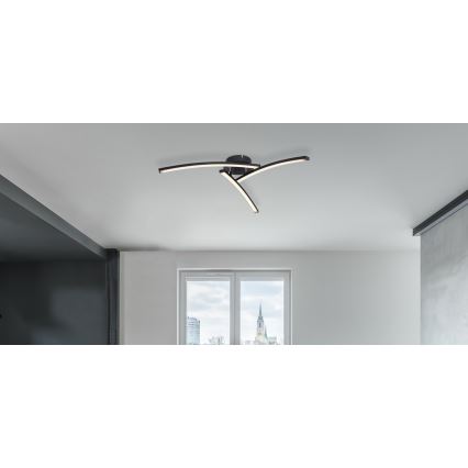 Globo - LED Surface-mounted chandelier 3xLED/6W/230V 3000/4000/6000K