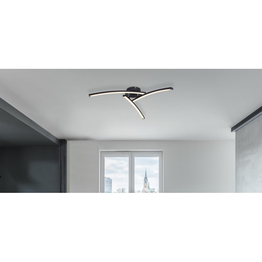 Globo - LED Surface-mounted chandelier 3xLED/6W/230V 3000/4000/6000K