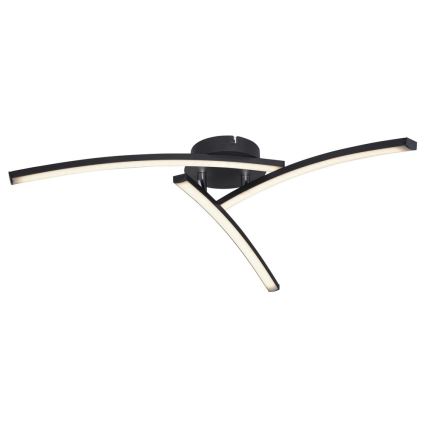 Globo - LED Surface-mounted chandelier 3xLED/6W/230V 3000/4000/6000K