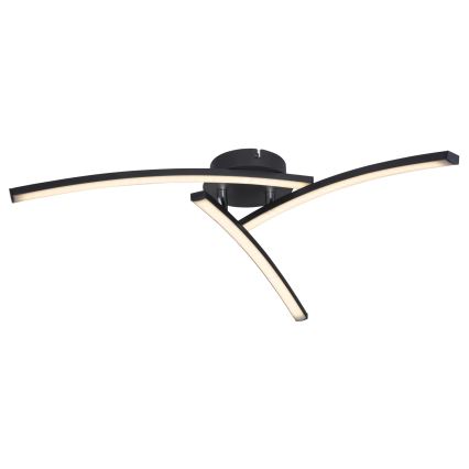 Globo - LED Surface-mounted chandelier 3xLED/6W/230V 3000/4000/6000K