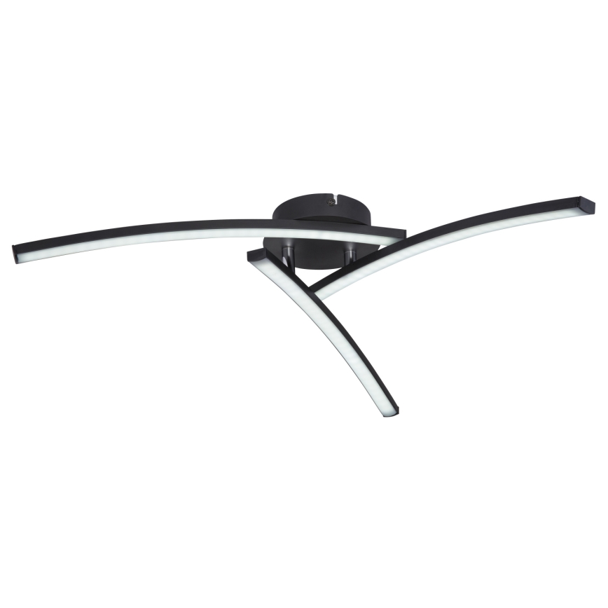 Globo - LED Surface-mounted chandelier 3xLED/6W/230V 3000/4000/6000K