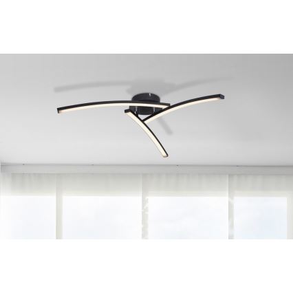 Globo - LED Surface-mounted chandelier 3xLED/6W/230V 3000/4000/6000K