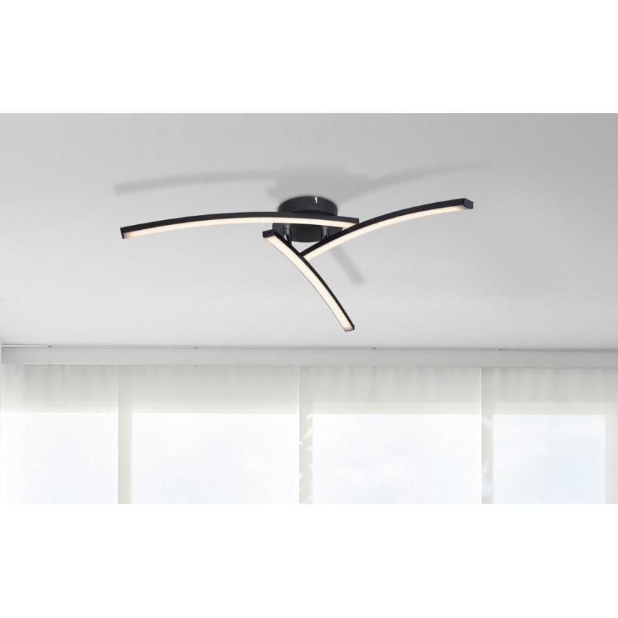 Globo - LED Surface-mounted chandelier 3xLED/6W/230V 3000/4000/6000K