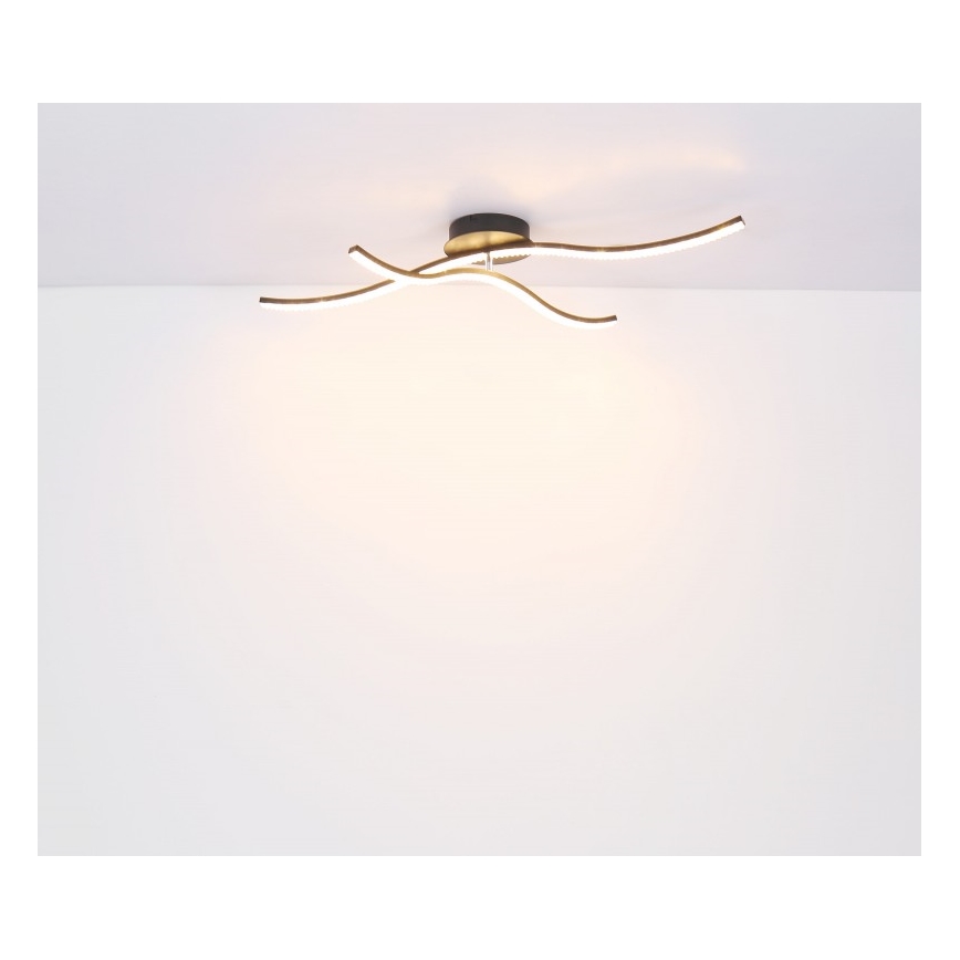 Globo - LED Surface-mounted chandelier LED/20W/230V