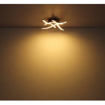 Globo - LED Surface-mounted chandelier 4xLED/5W/230V