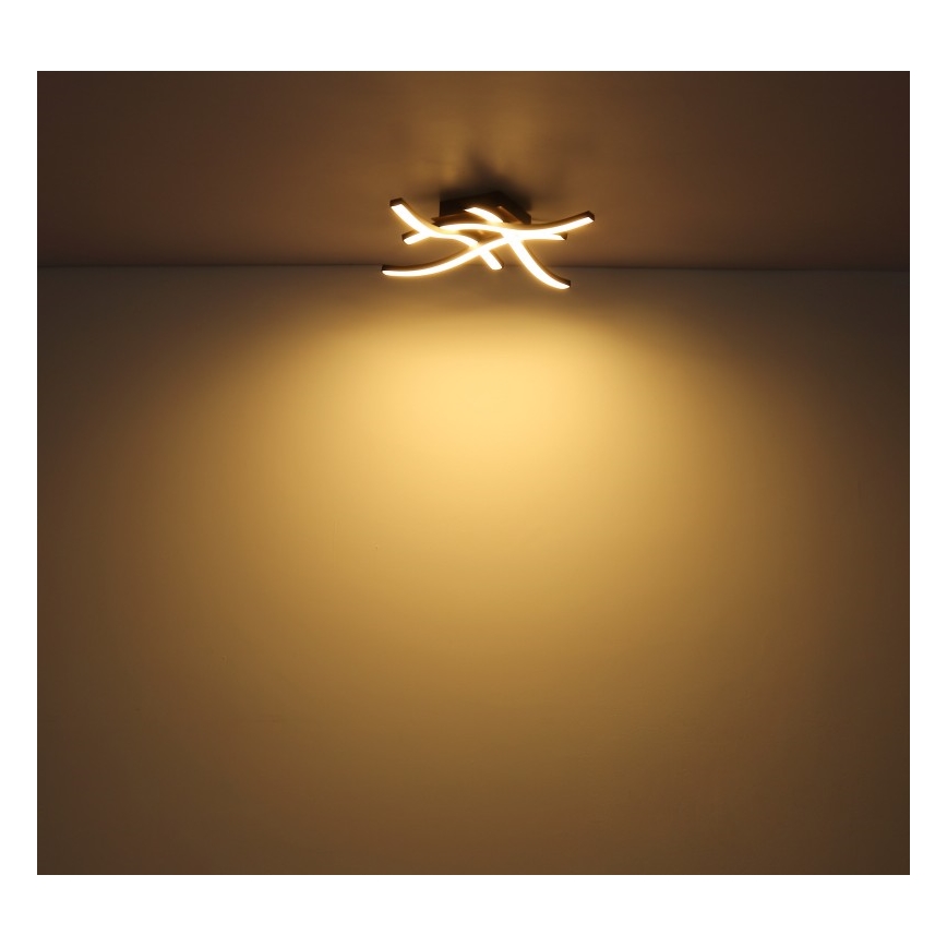 Globo - LED Surface-mounted chandelier 4xLED/5W/230V