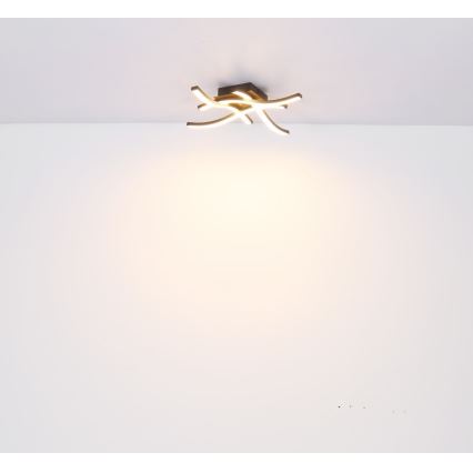 Globo - LED Surface-mounted chandelier 4xLED/5W/230V