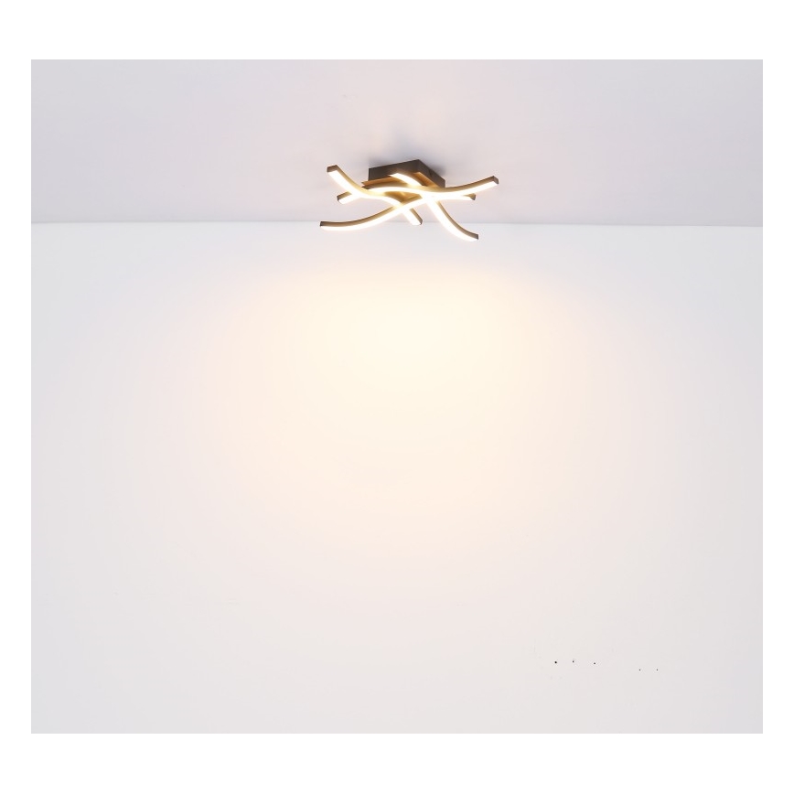 Globo - LED Surface-mounted chandelier 4xLED/5W/230V