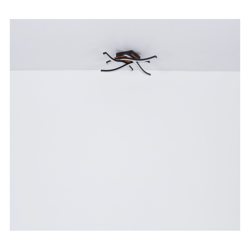 Globo - LED Surface-mounted chandelier 4xLED/5W/230V