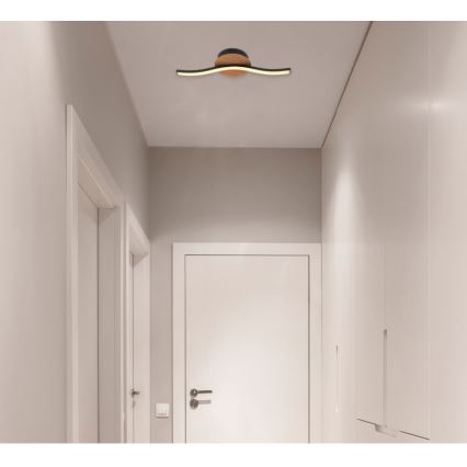 Globo - LED Ceiling light LED/6W/230V