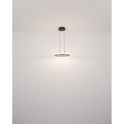 Globo - LED pendant on cable LED/40W/230V 3000/4000/6000K dia. 39.7 cm
