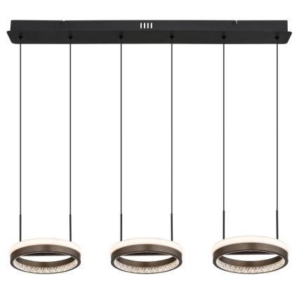 Globo - LED Chandelier on a string LED/40W/230V 3000/4000/6000K brown