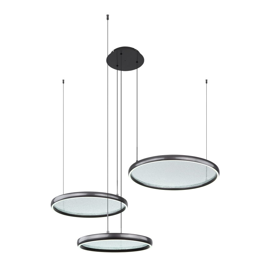 Globo - LED Dimmable chandelier on a string LED/55W/230V 2700-6000K black + remote control