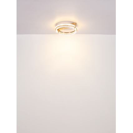 Globo - LED Dimmable crystal ceiling light LED/36W/230V 2700K-6000K + remote control