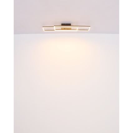 Globo - LED Ceiling light LED/30W/230V 3000K 60x80 cm black