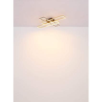 Globo - LED Ceiling light LED/30W/230V 3000K 60x80 cm black/gold