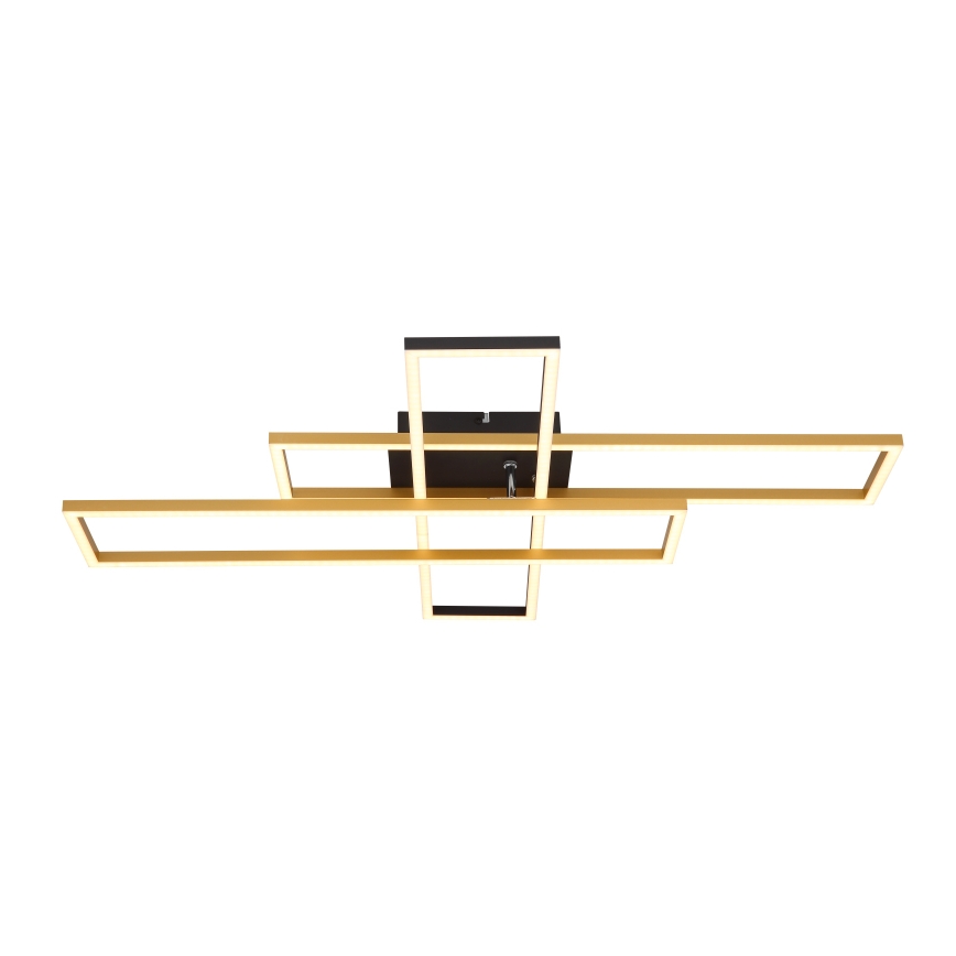 Globo - LED Ceiling light LED/40W/230V 3000K 60x80 cm black/gold
