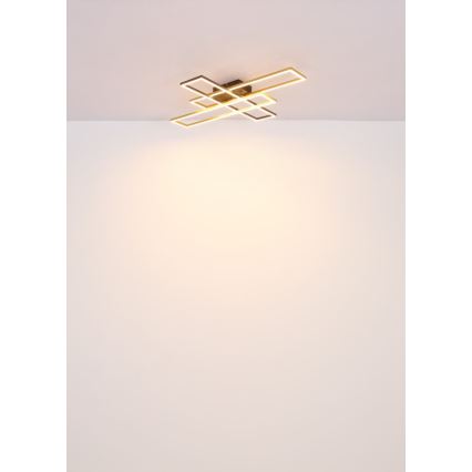 Globo - LED Ceiling light LED/40W/230V 3000K 60x80 cm black/gold